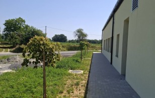 JAVOR 3